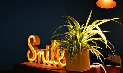 Potted plant next to a light and Smile sign.